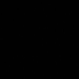 Meet your Posher, Ally